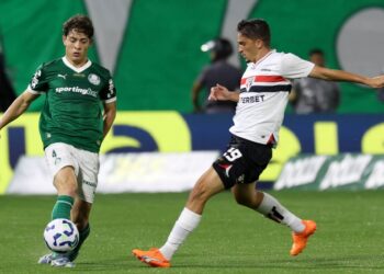 Foto: Cesar Greco / Palmeiras