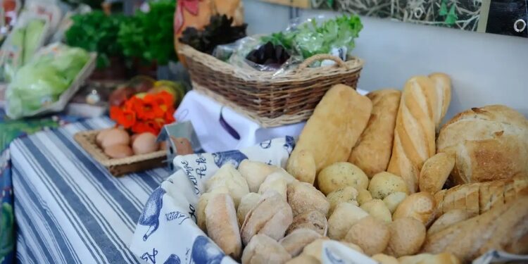 Foto: Fernando Frazão / Agência Brasil