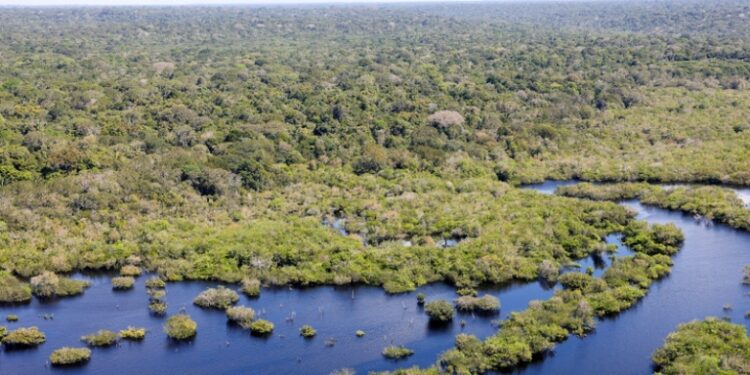 Foto: Fabio Rodrigues-Pozzebom / Agência Brasil