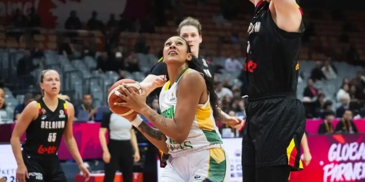 Foto: Divulgação / FIBA