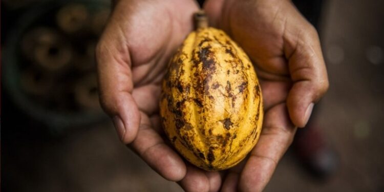 Foto: Divulgação / Ministério da Agricultura e Pecuária