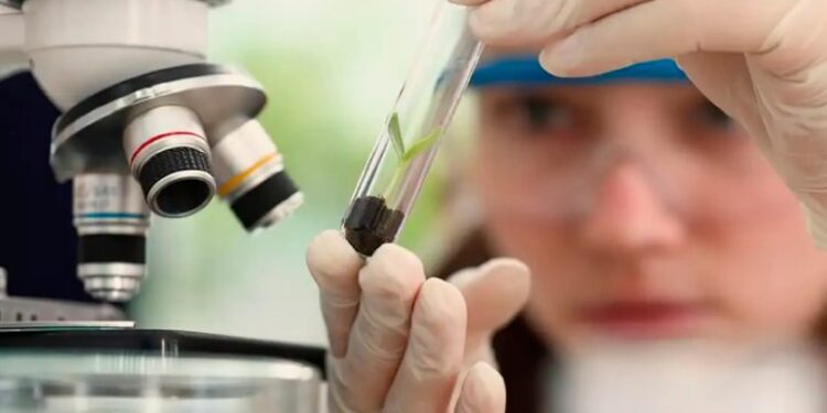 Foto: Divulgação / USP