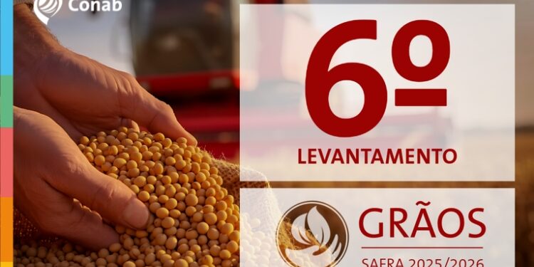 Foto: Divulgação / Conab
