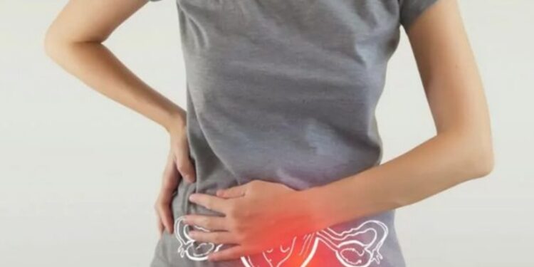 Foto: Divulgação / Ministério da Saúde