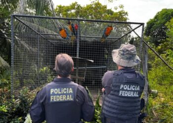 Foto: Divulgação / Polícia Federal
