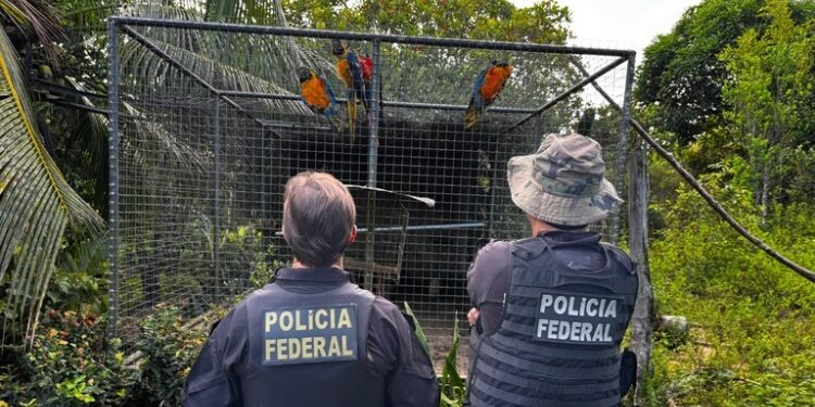 Foto: Divulgação / Polícia Federal