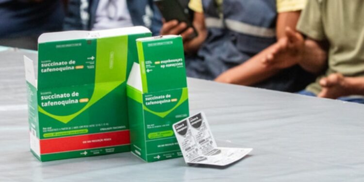 Foto: Fábio Miranda / MS